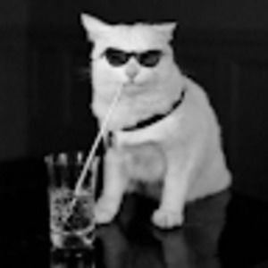 Meet your Posher, Sabrina